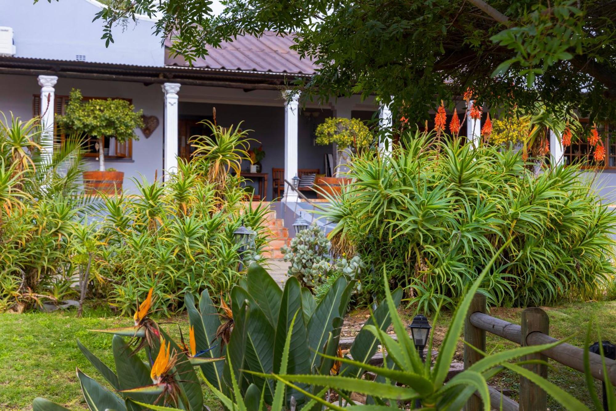 Thylitshia Villa Country Guest House Oudtshoorn Ngoại thất bức ảnh