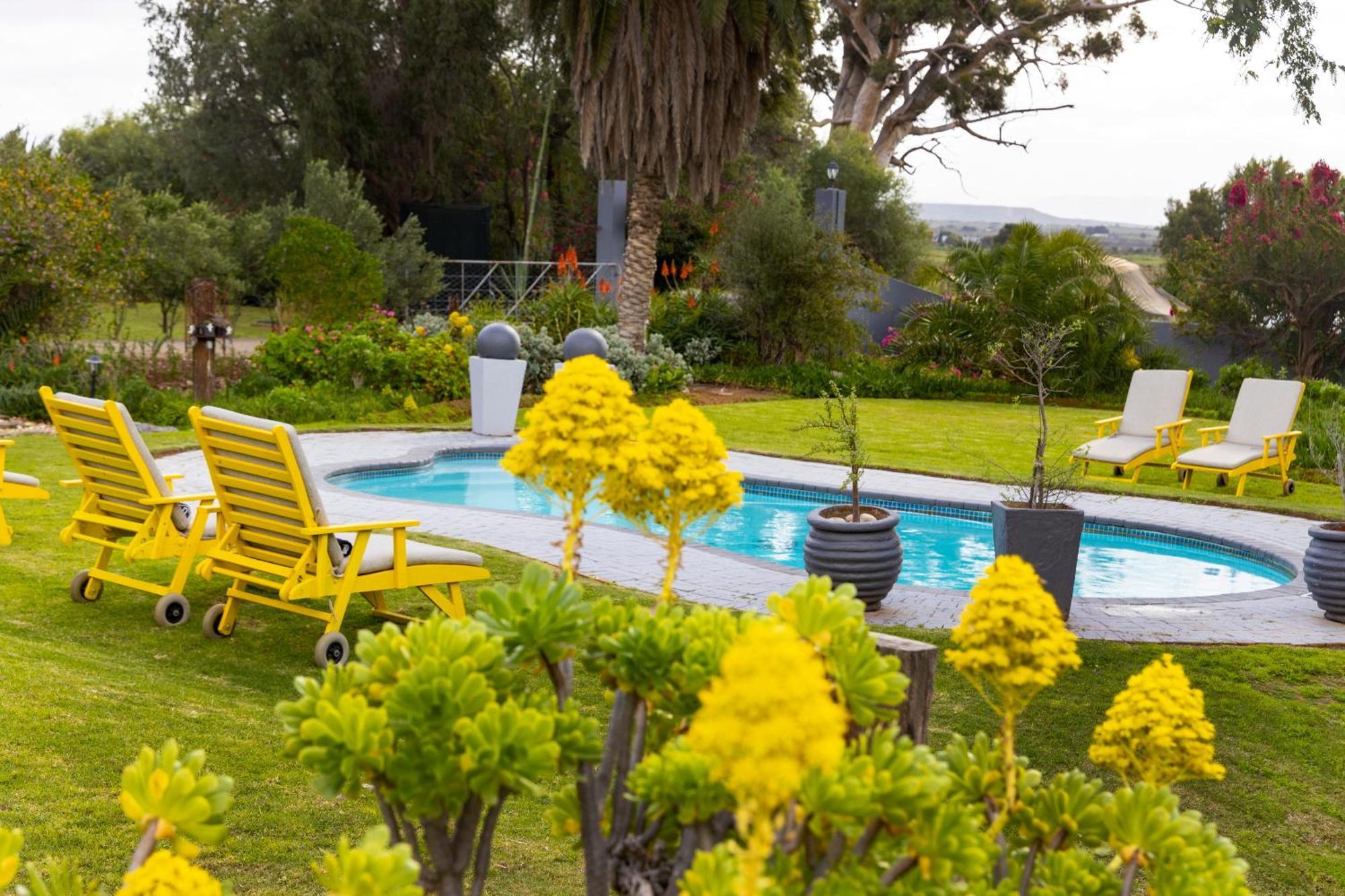 Thylitshia Villa Country Guest House Oudtshoorn Ngoại thất bức ảnh