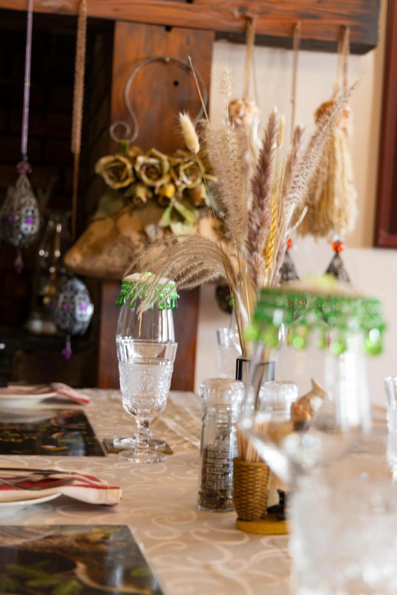 Thylitshia Villa Country Guest House Oudtshoorn Ngoại thất bức ảnh