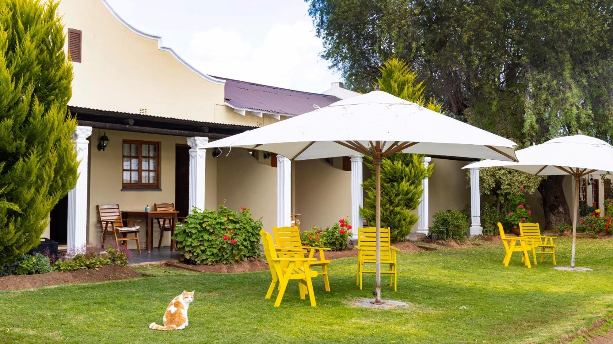 Thylitshia Villa Country Guest House Oudtshoorn Ngoại thất bức ảnh