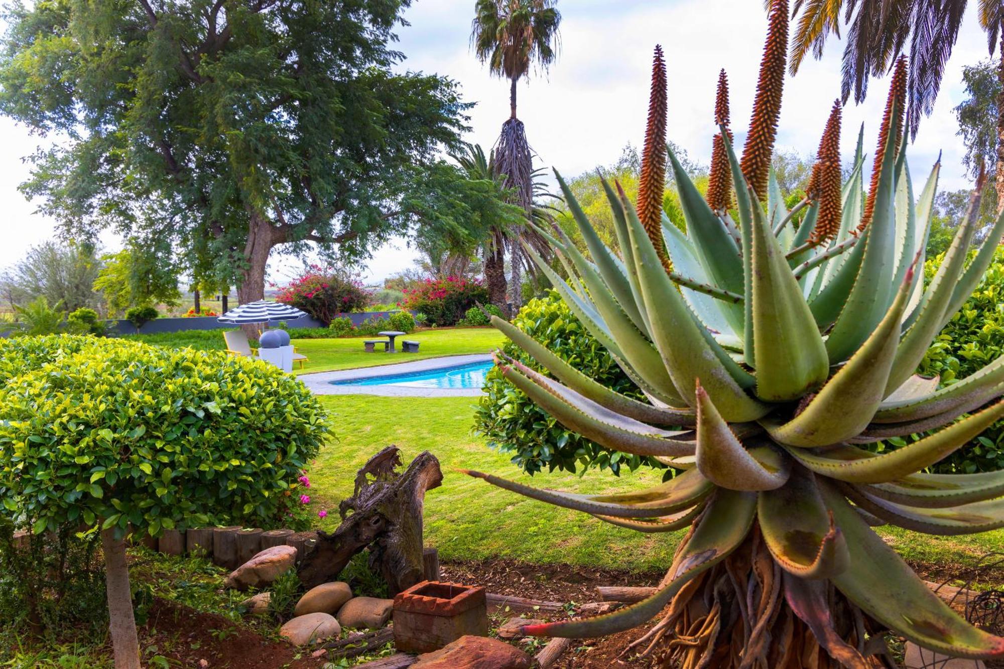 Thylitshia Villa Country Guest House Oudtshoorn Ngoại thất bức ảnh