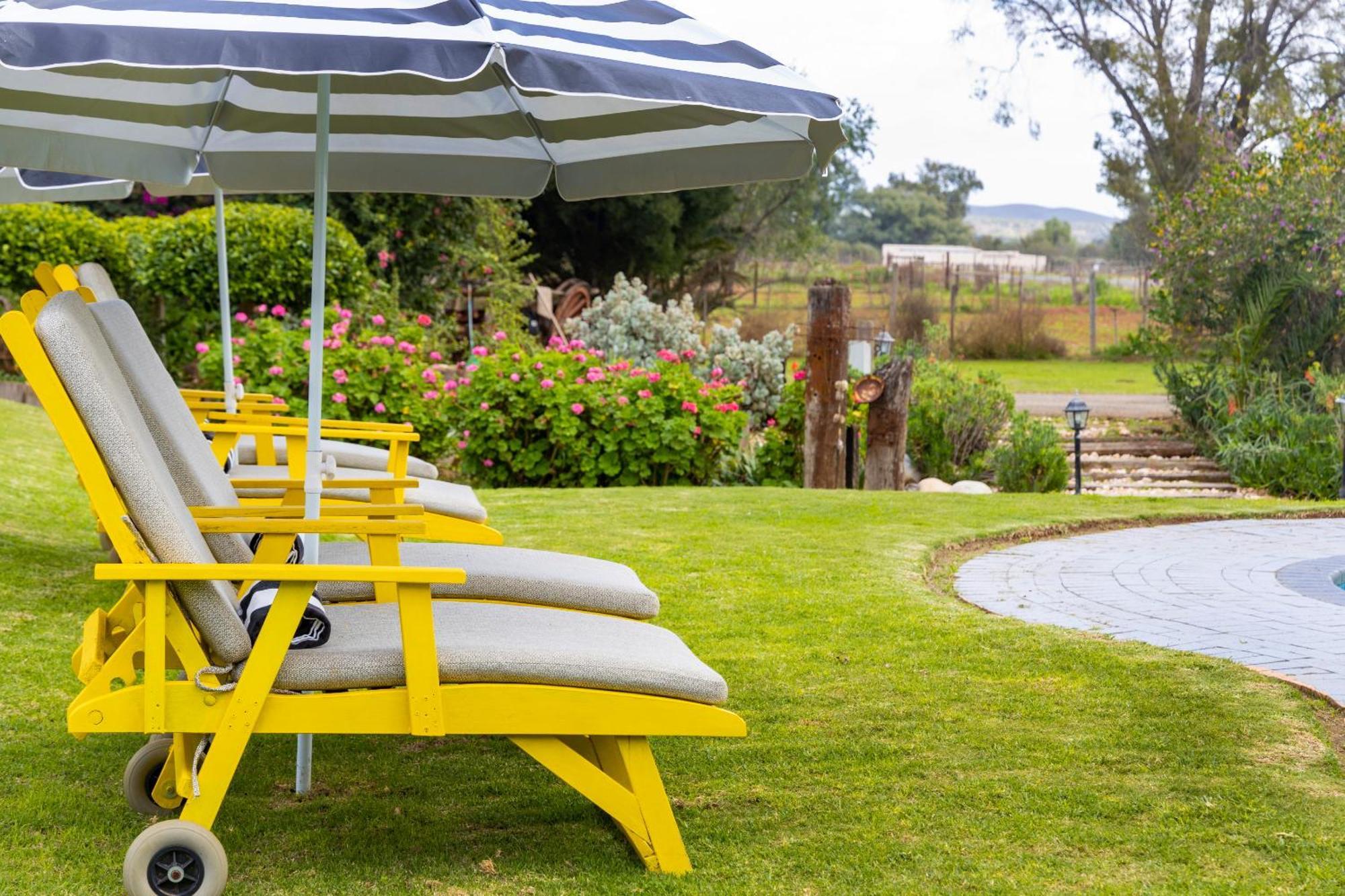 Thylitshia Villa Country Guest House Oudtshoorn Ngoại thất bức ảnh