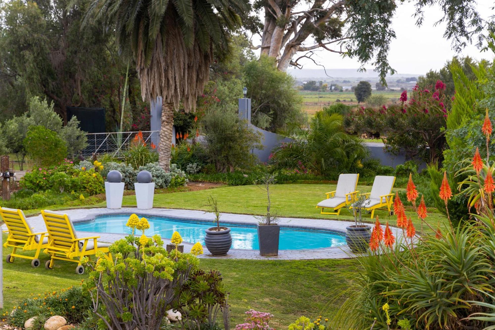 Thylitshia Villa Country Guest House Oudtshoorn Ngoại thất bức ảnh