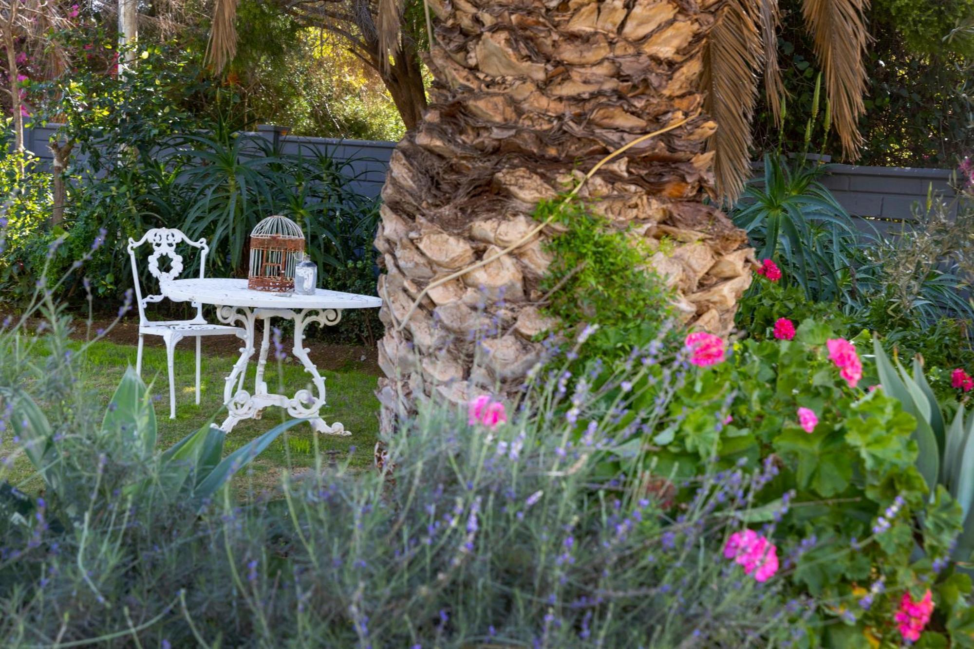Thylitshia Villa Country Guest House Oudtshoorn Ngoại thất bức ảnh