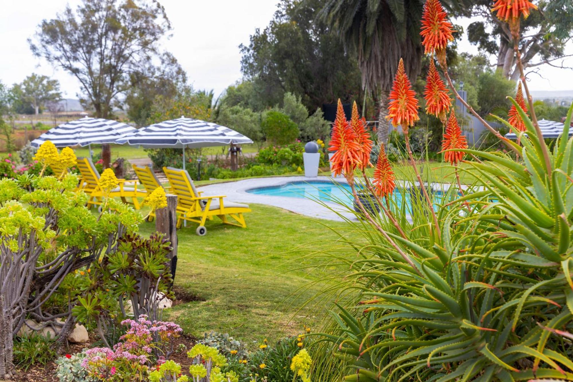 Thylitshia Villa Country Guest House Oudtshoorn Ngoại thất bức ảnh