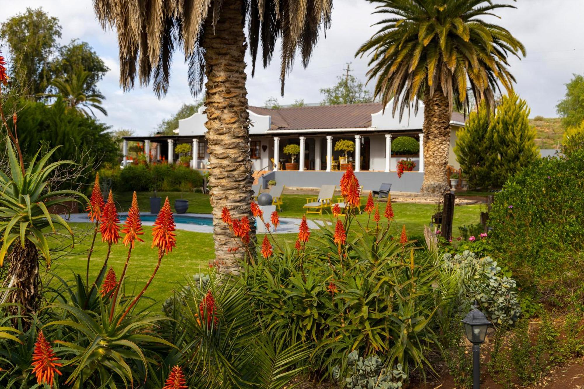 Thylitshia Villa Country Guest House Oudtshoorn Ngoại thất bức ảnh