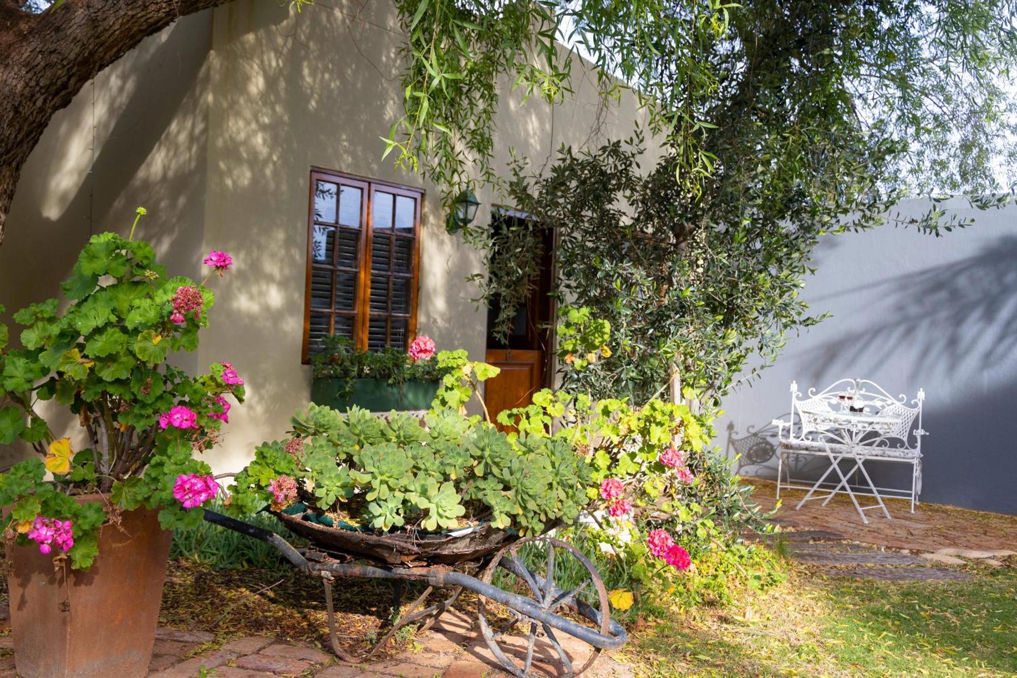 Thylitshia Villa Country Guest House Oudtshoorn Ngoại thất bức ảnh
