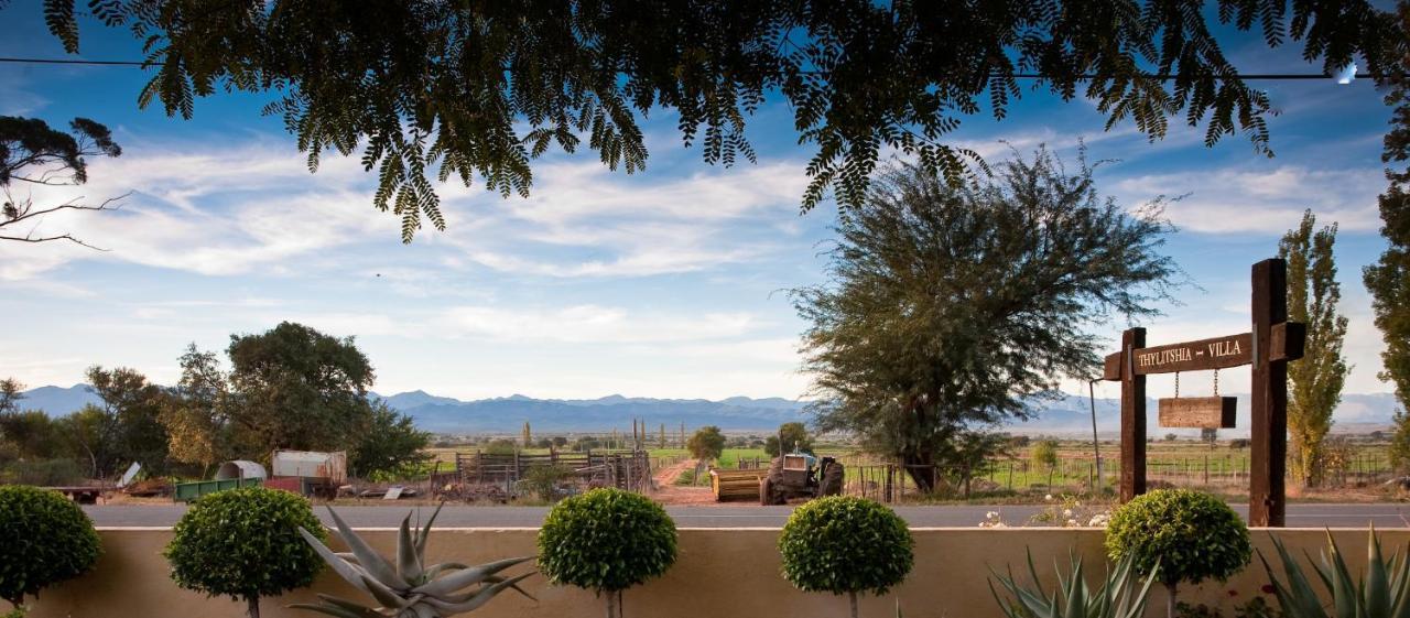 Thylitshia Villa Country Guest House Oudtshoorn Ngoại thất bức ảnh